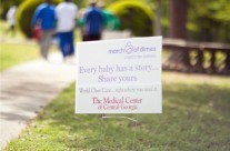Small Sign March Of Dimes